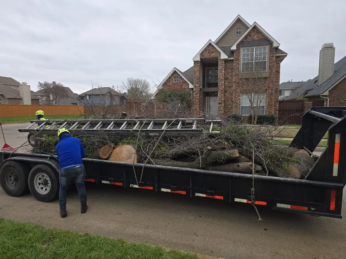 Expert Tree Fertilization with proper safety equipment in Eagleville